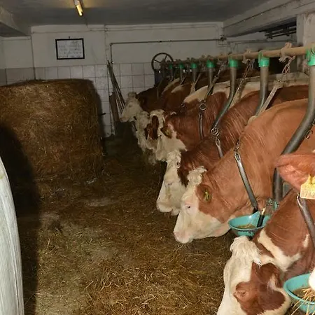 Klein Schoental Farma *