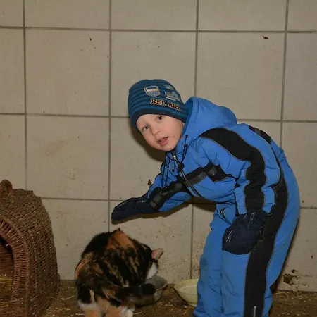 Bauernhof Klein Schöntal Göstling an der Ybbs