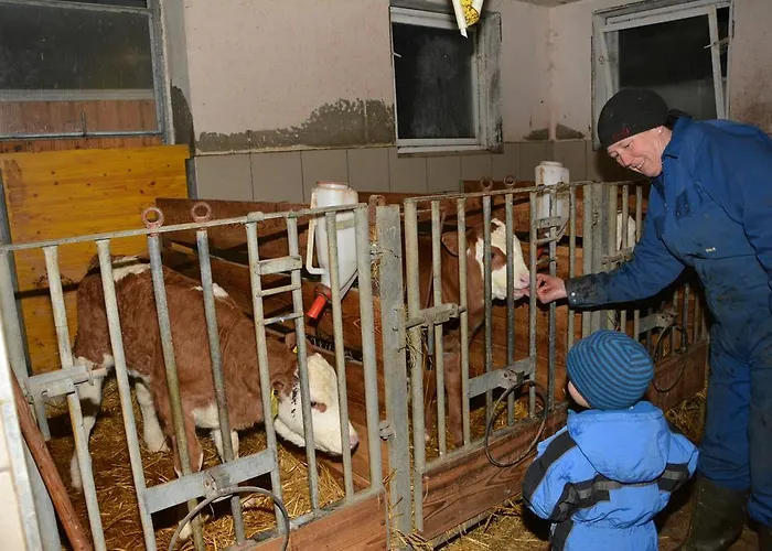 Farmház Klein Schoental *