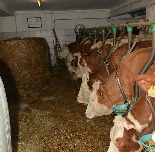 Klein Schoental Farmház *